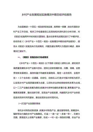 乡村产业发展规划实施情况中期总结评估报告.docx