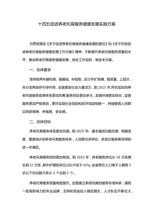 十四五促进养老托育服务健康发展实施方案.docx