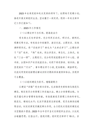 党支部书记2023年度抓基层党建工作述职报告.docx