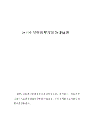 公司中层管理年度绩效评价表.docx