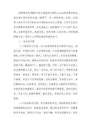 党委书记2023年专题生活会个人检查材料.docx