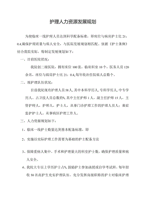 医院护理人力资源发展规划.docx