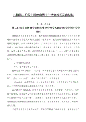 九篇第二阶段专题教育民主生活会检视发言材料.docx