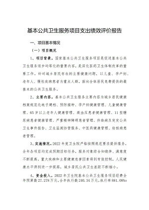 基本公共卫生服务项目支出绩效评价报告和自评表.docx