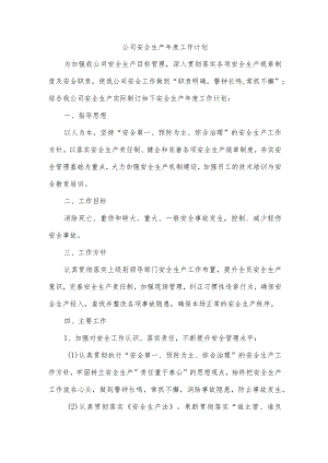公司安全生产年度工作计划.docx