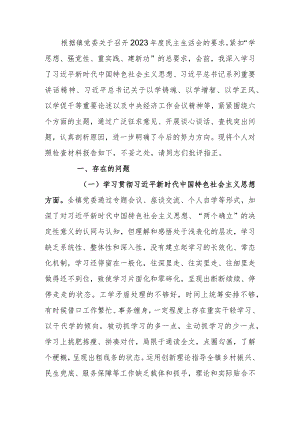 党委书记2023年度教育专题生活会个人发言提纲.docx