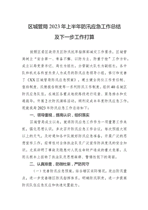 区城管局2023年上半年防汛应急工作总结及下一步工作打算.docx