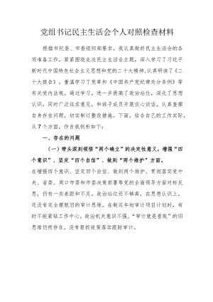 党组书记民主生活会个人对照检查材料.docx