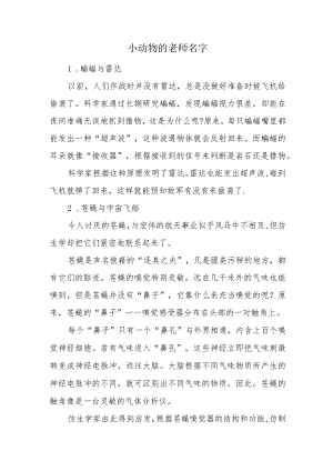 小动物的老师名字.docx