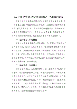 平安医院建设工作自查报告.docx