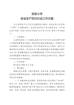 小学安全风险防控百日行动工作方案.docx