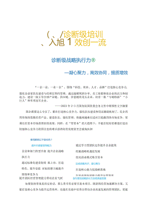 战略执行力（杨天河）.docx