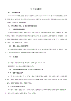 小企业会计准则务报表附注.docx