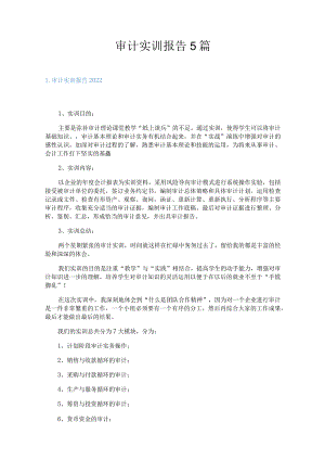 审计实训报告5篇.docx