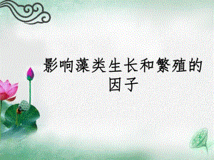 影响培养藻类生长和繁殖的因子.ppt