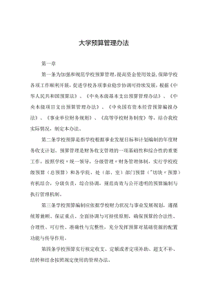 大学预算管理办法.docx