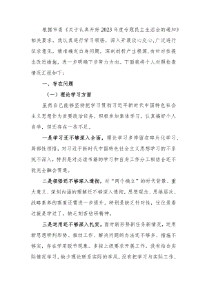 在第二批主题教育专题民主生活会上的剖析发言.docx
