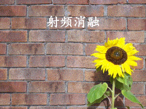 射频消融.ppt