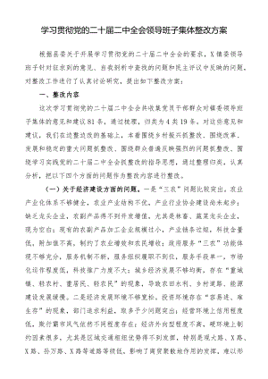 学习贯彻党的二十届二中全会领导班子集体整改方案.docx