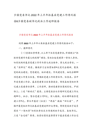 乡镇党委书记2022年上半年抓基层党建工作情况报告 & 乡镇党委副书记政法工作述职报告.docx