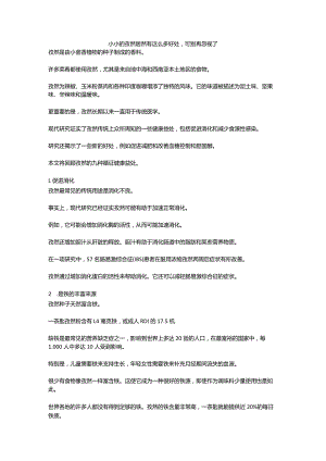 小小的孜然居然有这么多好处可别再忽视了.docx