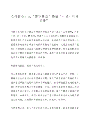 心得体会：从“四下基层”感悟“一枝一叶总关情”.docx