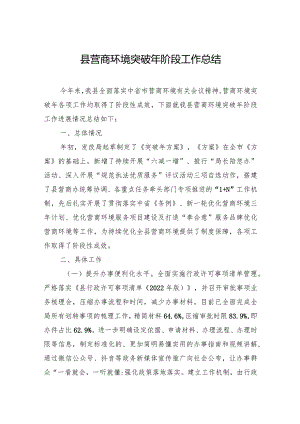 县营商环境突破年阶段工作总结..docx