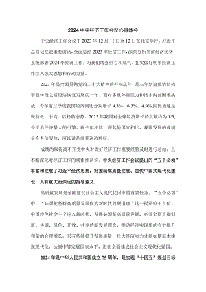 学习2024年中央经济工作会议心得体会6.docx