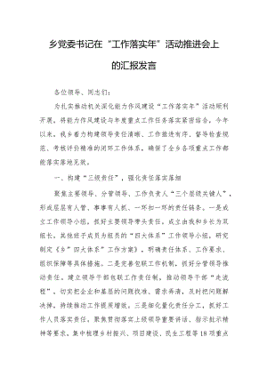 乡党委书记在“工作落实年”活动推进会上的汇报发言.docx