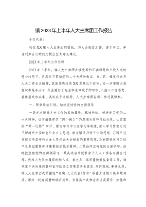 乡镇人大主席团工作报告（总结）.docx