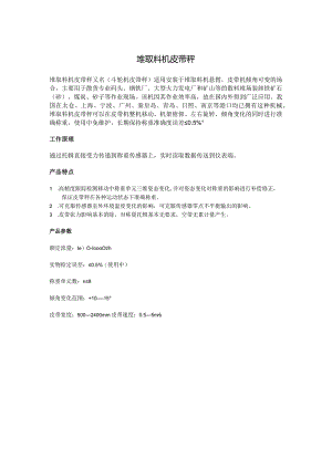 堆取料机皮带秤.docx