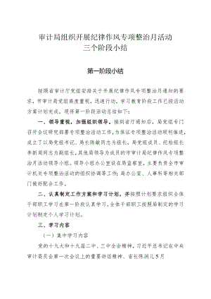审计局组织开展纪律作风专项整治月活动三个阶段小结.docx