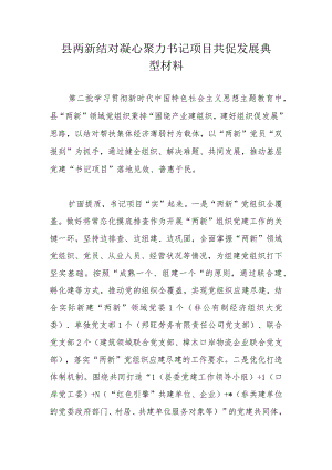 县两新结对凝心聚力书记项目共促发展典型材料.docx