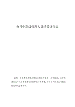 公司中高级管理人员绩效评价表.docx