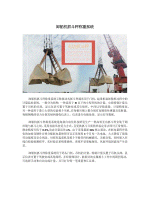 卸船机抓斗秤称重系统.docx