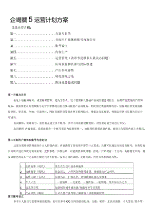 企业短视频运营计划方案.docx
