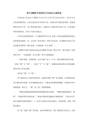 学习2024年中央经济工作会议心得体会三.docx