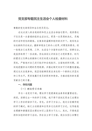 党支部专题民主生活会个人检查材料.docx
