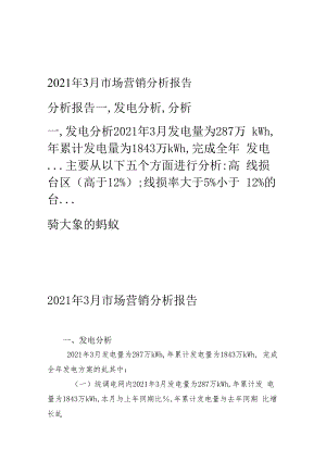 2009年3月市场营销分析报告.docx