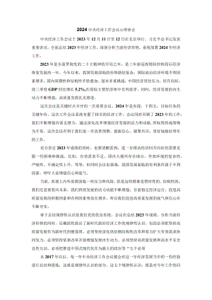 学习2024年中央经济工作会议心得体会7.docx