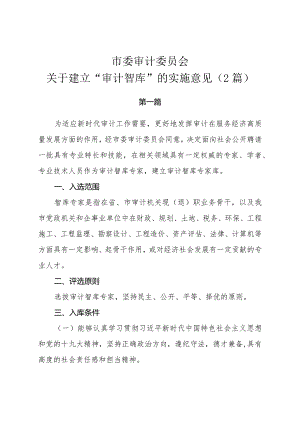 市委审计委员会关于建立“审计智库”的实施意见（2篇）.docx