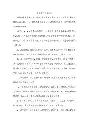 导游个人工作小结.docx