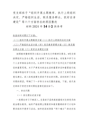 党支部班子“组织开展主题教育、执行上级组织决定、严格组织生活、联系服务群众、抓好自身建设”等六个方面存在的原因整改材料2024年【4份】供参考.docx