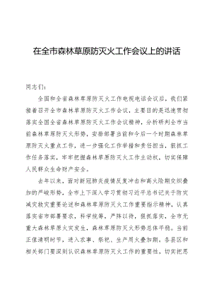 在全市森林草原防灭火工作会议上的讲话2023.docx