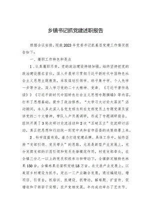 乡镇书记抓党建述职报告.docx