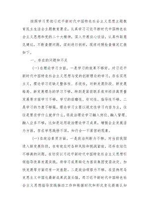 公司党员干部2023年教育专题生活个人检查材料.docx