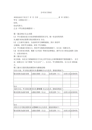 13.公司分立协议（存续分立）.docx
