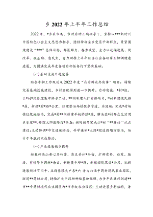 乡2022年上半年工作总结.docx