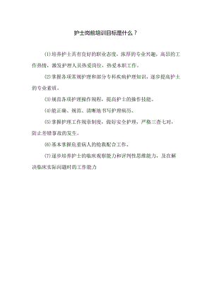 护士岗前培训的目标.docx