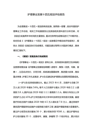 护理事业发展十四五规划评估报告.docx